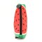Cubs Pouch - Red/Green Watermelon
