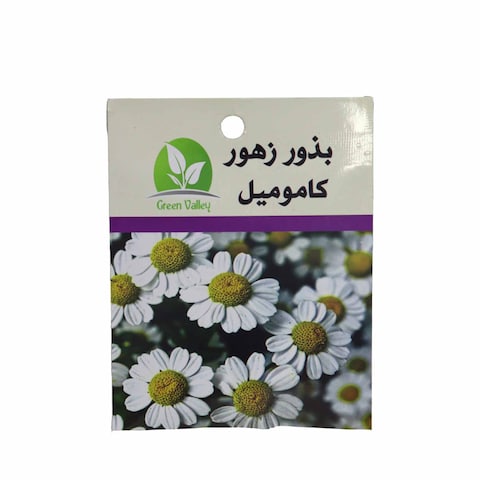 Green Valley Chamomile Seeds - 10 Gm
