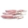 Fresh Squid Whole