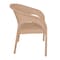 Plastic Bamboo Chair
