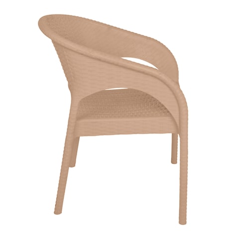 Plastic Bamboo Chair