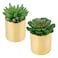 Mix Succulent Potted Plant 9Cm 2 Pieces