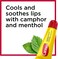 Carmex Classic Tube 0.35oz Medicated Lip Balm (Pack of 3)