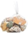 Mumoo Bear 200g Sea Shells Mixed Ocean Beach Seashells Colorful Natural Seashells Fish Tank Accessory