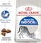 Royal Canin Feline Health Nutrition Indoor 400Gm Cat Dry Food
