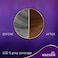 Wella Koleston Kit Root Touch Up Hair Color 8-0 Light Blonde