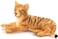 Animal Planet Mojo Tiger Cub Hand Painted Replica Wild Animal Collectable Toys Figures 387009