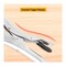 Ingco Straight Jaw Pliers -10 inch
