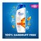 Head &amp; Shoulders Anti-Dandruff Shampoo, Anti-Hairfall - 600 ml