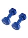 Generic Set Of 2 Dumbbells 2kg