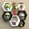 Hexagonal Shape Wooden Floating Wall Shelves (Set of 6, Black &amp; White)