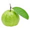 Local Guava
