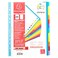 Maxi 12 Part Coloured PP Divider White
