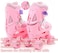 EASY FUTURE Roller Skates Adjustable Size Double Row 4 Wheel Skates Children Skates for Boys And Girls Including Protective Gear Knee Elbow Wrist Pink Small (31-34)