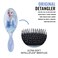 Wet Brush Disney Frozen 2 Elsa Guiding Spirit Detangle Hair Brush 1 Piece