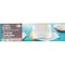 Carrefour Classic Coconut Biscuits 100g