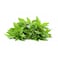 Basil Pack 50G