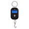 Decdeal - Mini Luggage Scale Portable Electronic Scale Digital Fish Scale with Zero Tracking Function 25kg Double-range Scale Digital Hanging Scale