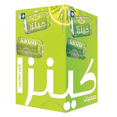 Kinza Citrus Carbonated Drink 360ml x6