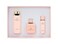 Mark Des Vince Fabulous Set Eau De Parfum - 100ml