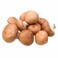 Mushroom Chestnut Brown Holland
