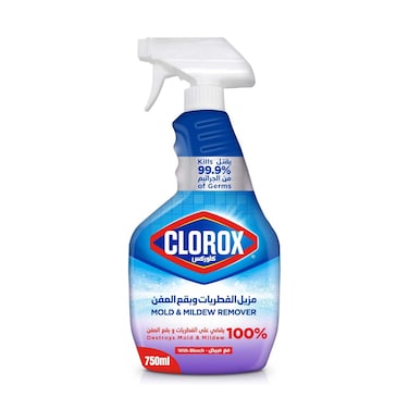 Clorox Mild &amp; Mildew Remover With Bleach 750ml