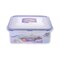 Lock &amp; Lock Square Food Container With Dividers - 0.87 ml - Clear