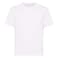 Mens T--Shirt Masterknit White