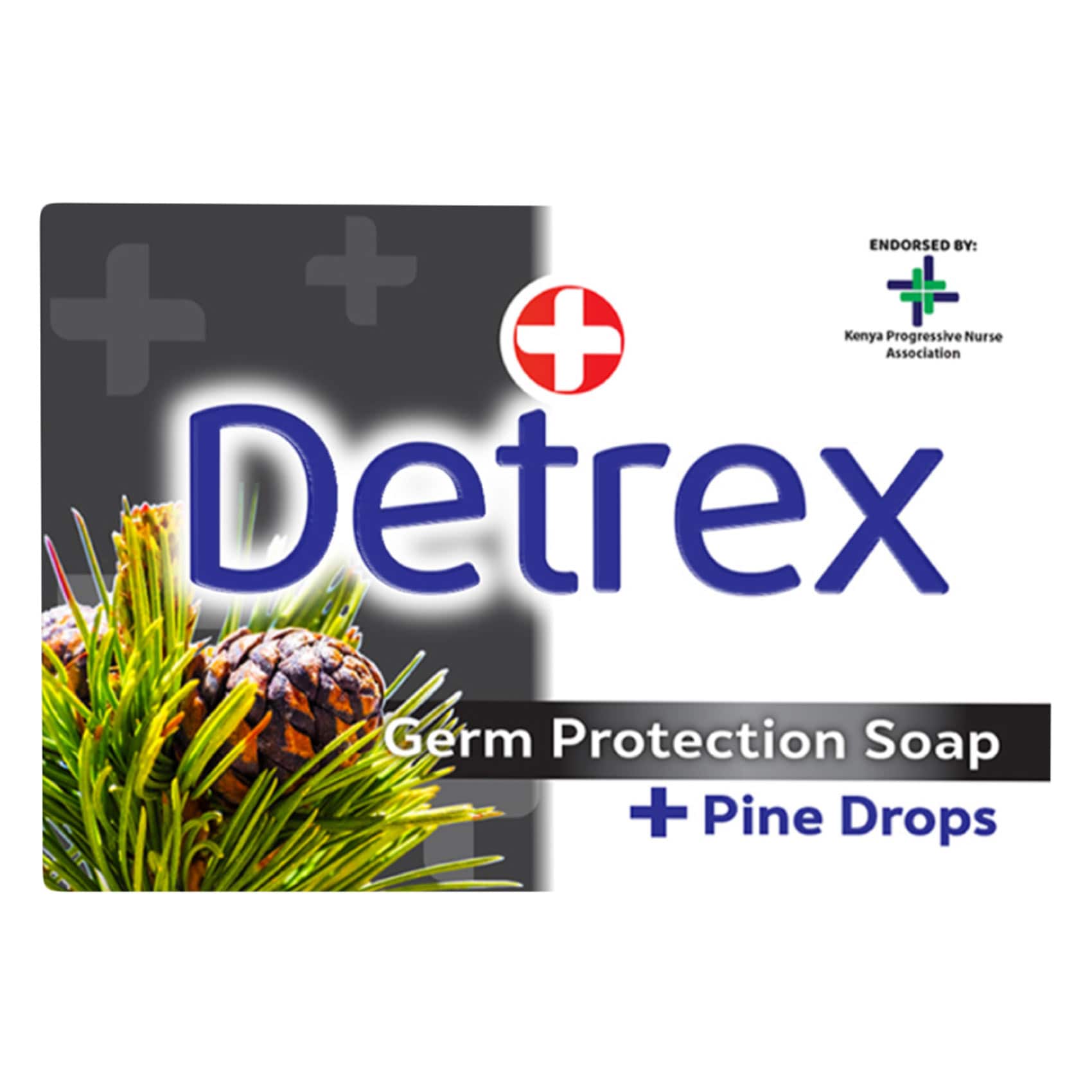 Buy Detrex Pine Drops Germ Protection Medicated Soap 100g Online ...