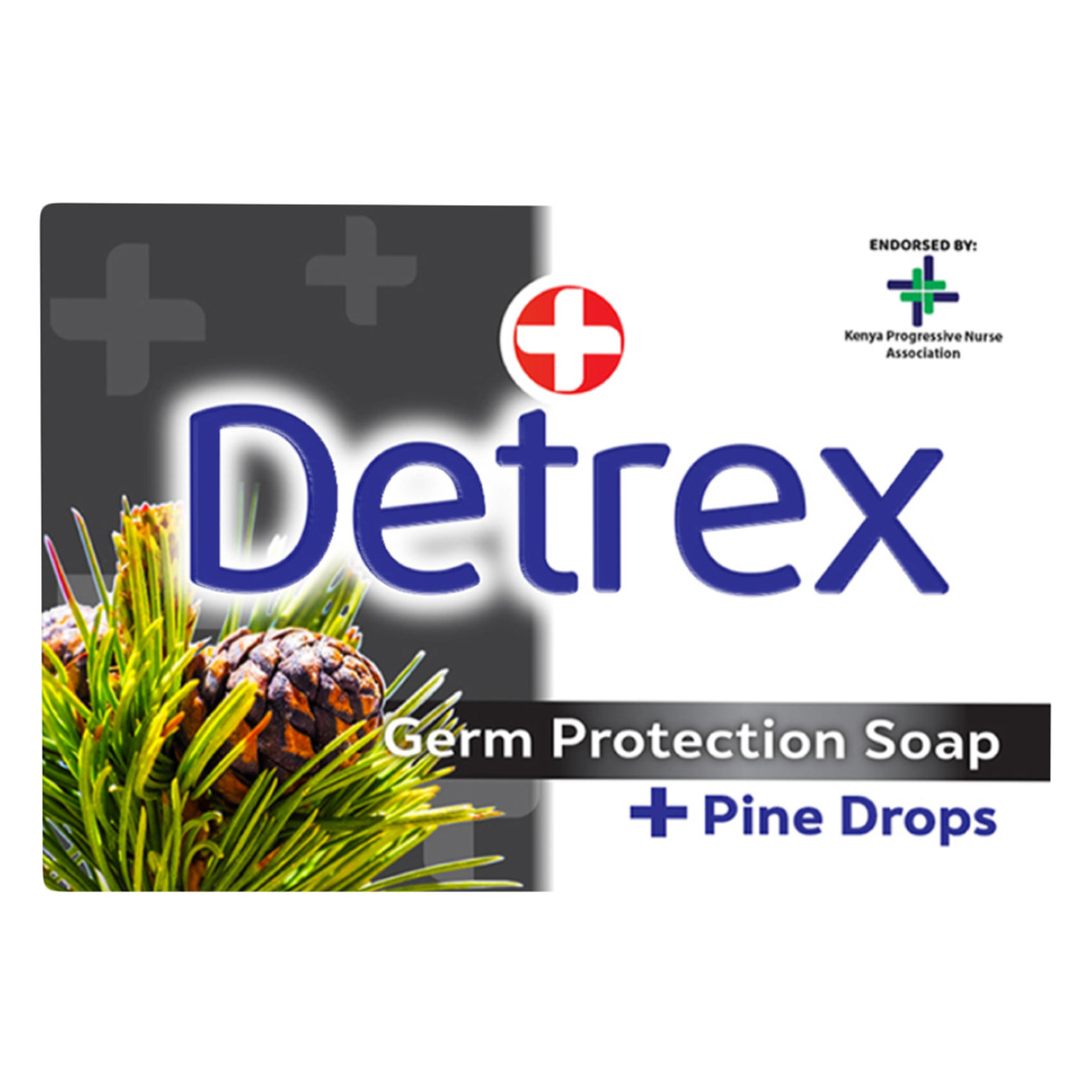 Detrex Pine Drops Germ Protection Medicated Soap 100g