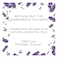 Air Wick Electrical Diffuser Lavender And Camomile Refill 19ml