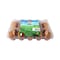 Al Bayaad Brown Eggs 15 Pieces