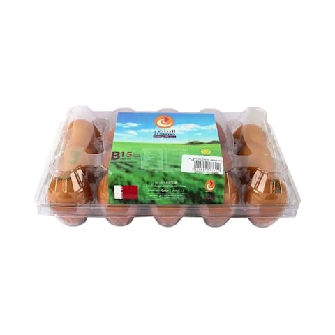 Al Bayaad Brown Eggs 15 Pieces