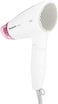 Panasonic Eh-Nd 21 1200 Watt Hair Dryer 220 Volts