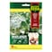 Semillas Fito Fast &amp; Easy Genovesa Basil Seed Tapes Pack