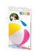 Intex Glossy Panel Ball 61Cm