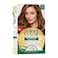 Wella Kit Soft Hair Color 77 Golden Brown