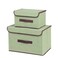 DEO KING 2 Piece Foldable Cloth Storage Box Green