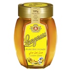 Buy Langnese Pure Bee Honey 500g in UAE