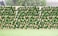 1.2 M Expandable Large Fence With Faux Plants