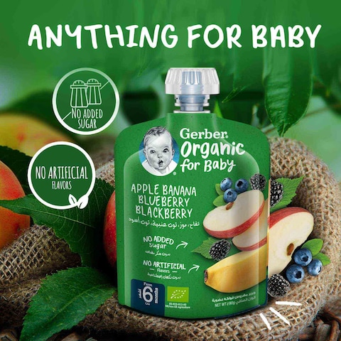 Gerber Organic Apple Banana Blueberry Blackberry Puree Green 90g