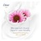 Dove Nourishing Secrets Growth Ritual Echinacea And White Tea Conditioner 350ml