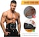 Fitto Muscle Stimulator EMS Abdominal Toning Belt, Electronic Muscle Trainer, Portable Fitness Trainer, USB Rechargeable, 6 Modes 15 Levels