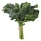 Broccoli Leaves Bunch