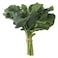 Broccoli Leaves Bunch