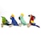 Plush Pet Bird Dog Toy - Multicolor and Design - 2pc