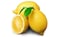 Balady Lemon - Class A
