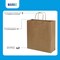 Markq Brown Paper bags with handles 42 x 31 x 12 cm Large Kraft Gift bags for Birthday Party Favors, Weddings, Crafts, Sweets, Packaging, Eid (12 Bags)