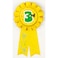 3rd Award Ribbon