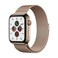 Apple Watch Series 5 GPS + Cellular 44mm Gold Stainless Steel Case with Gold Milanese Loop (MWW
